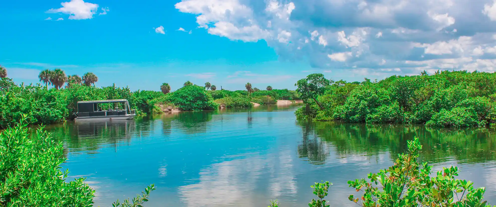 Calm waterway lined with mangroves and palm trees